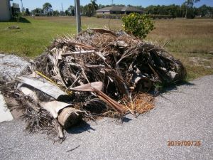 Noncompliant Horticultural Waste 2